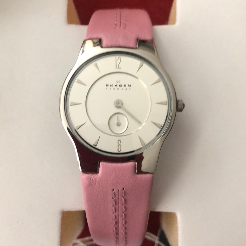 Skagen Watch